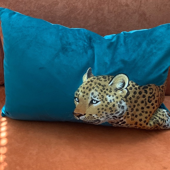 Other - Teal Pillow with Leopard Design